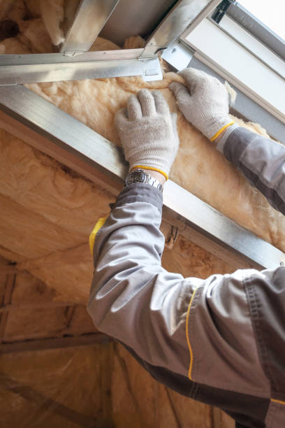 Best Insulation Maintenance and Repair in Florence, MT